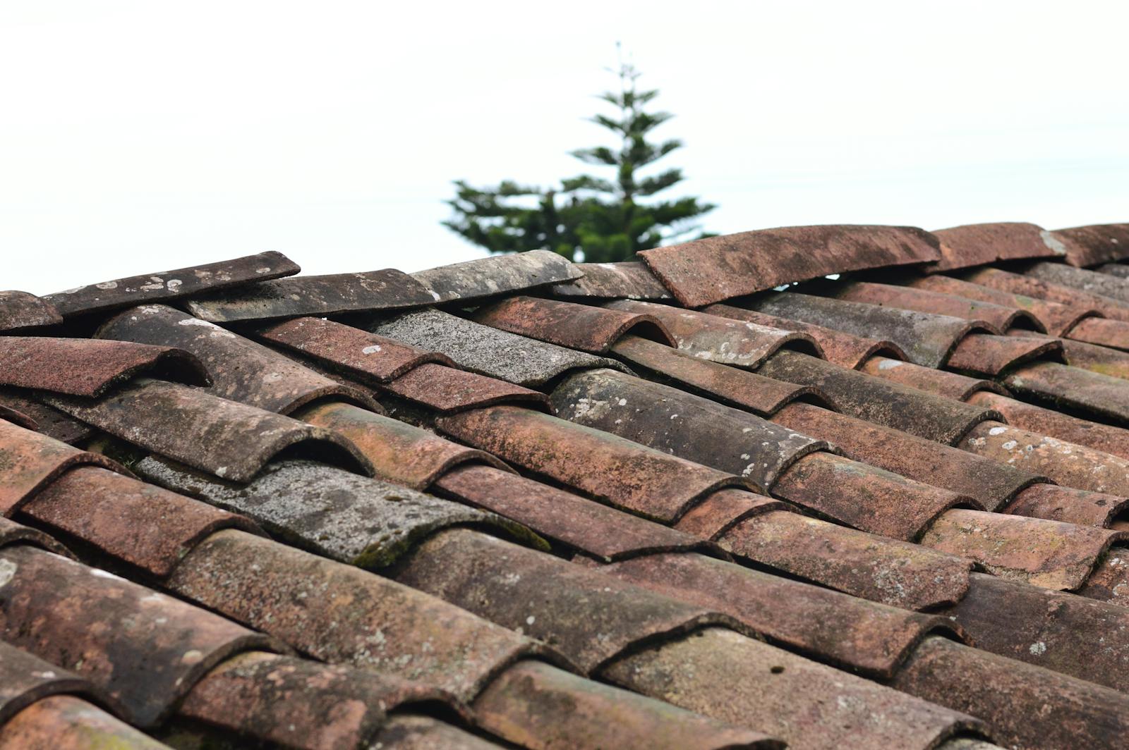 A close-up view of rustic, weathered clay roof shingles under a clear sky in Puebla, Mexico.