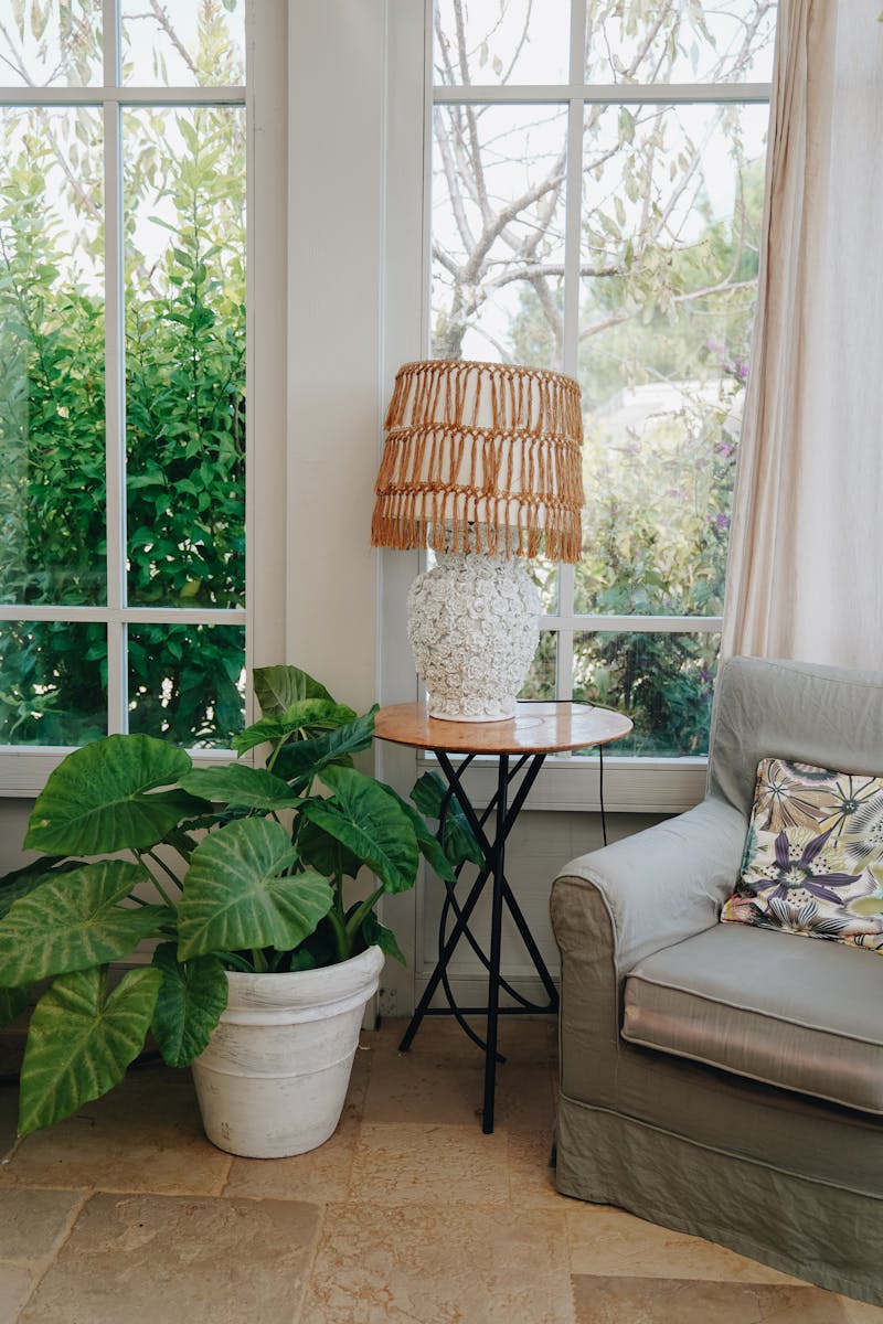 Bright living room corner with Scandinavian armchair, indoor plant, and rattan lamp.