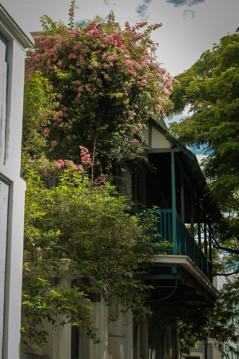 Building covered in lush green foliage and pink flowers.